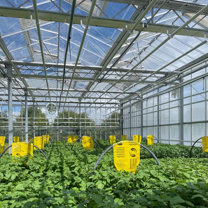 Modularis Designis Flexibilitas et Expansionis Capacitates