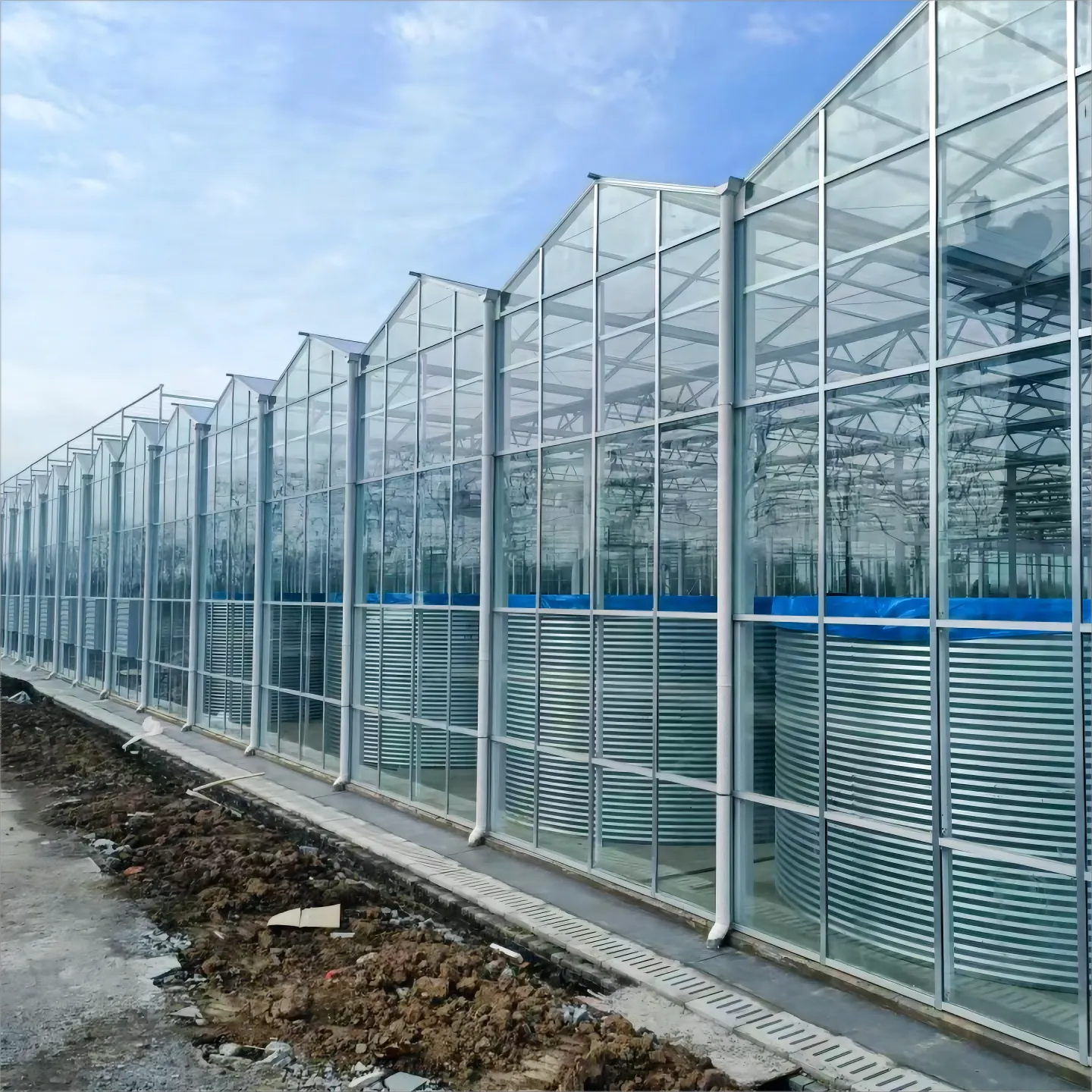 Modern Glass Greenhouse Project (6).webp