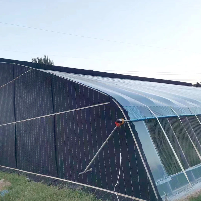 Russia Solar Greenhouse-4.webp