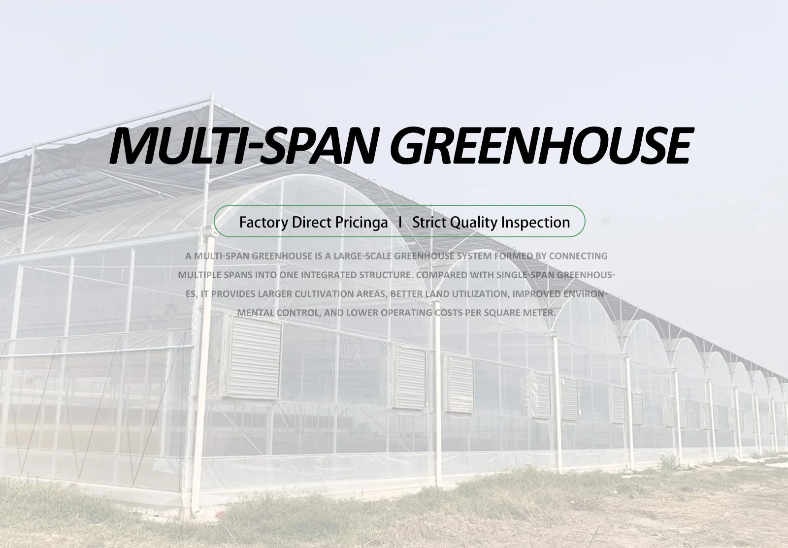 Multi-span Greenhouse_detail_01.webp