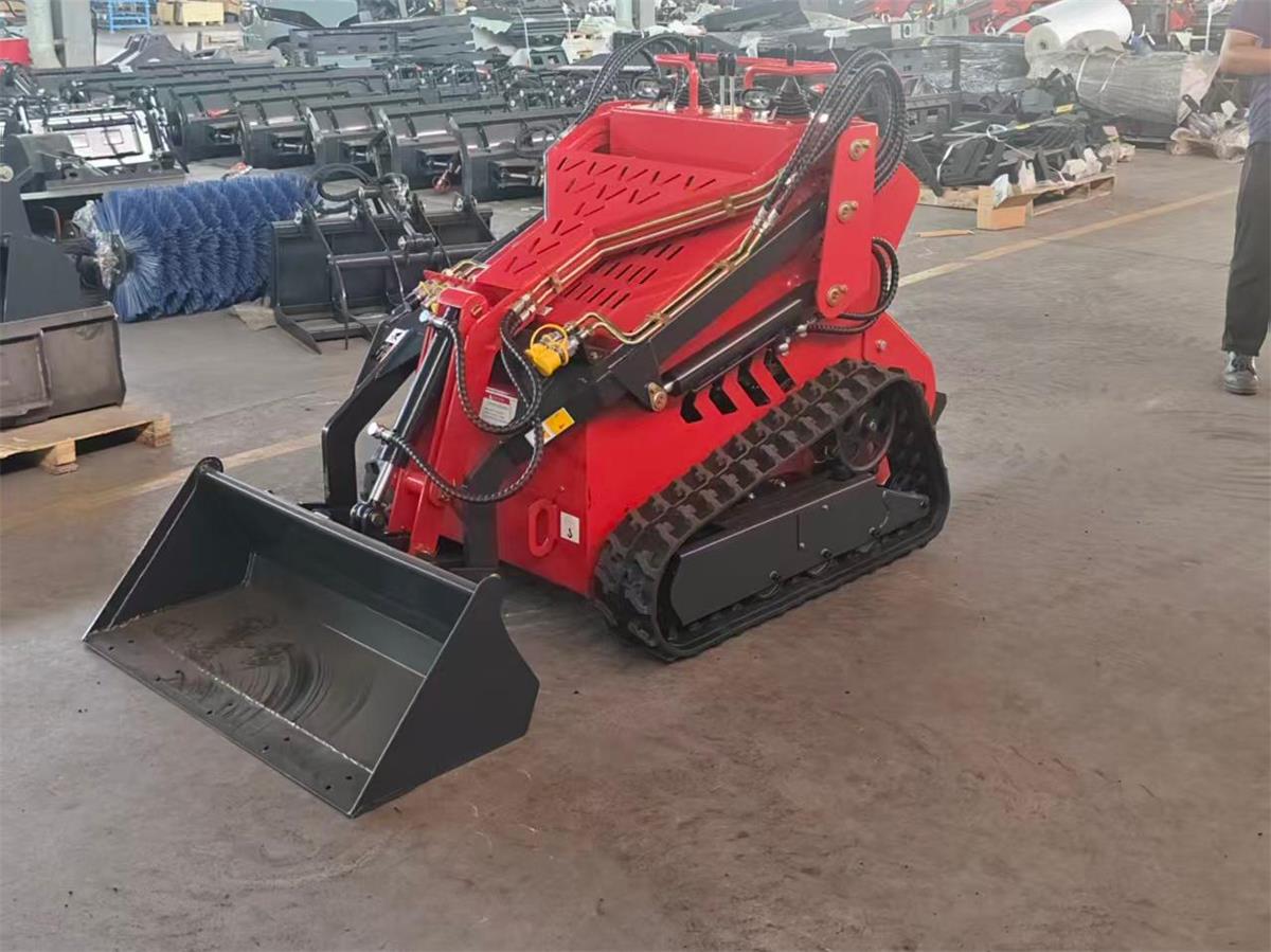 skid steer loader-1.jpg