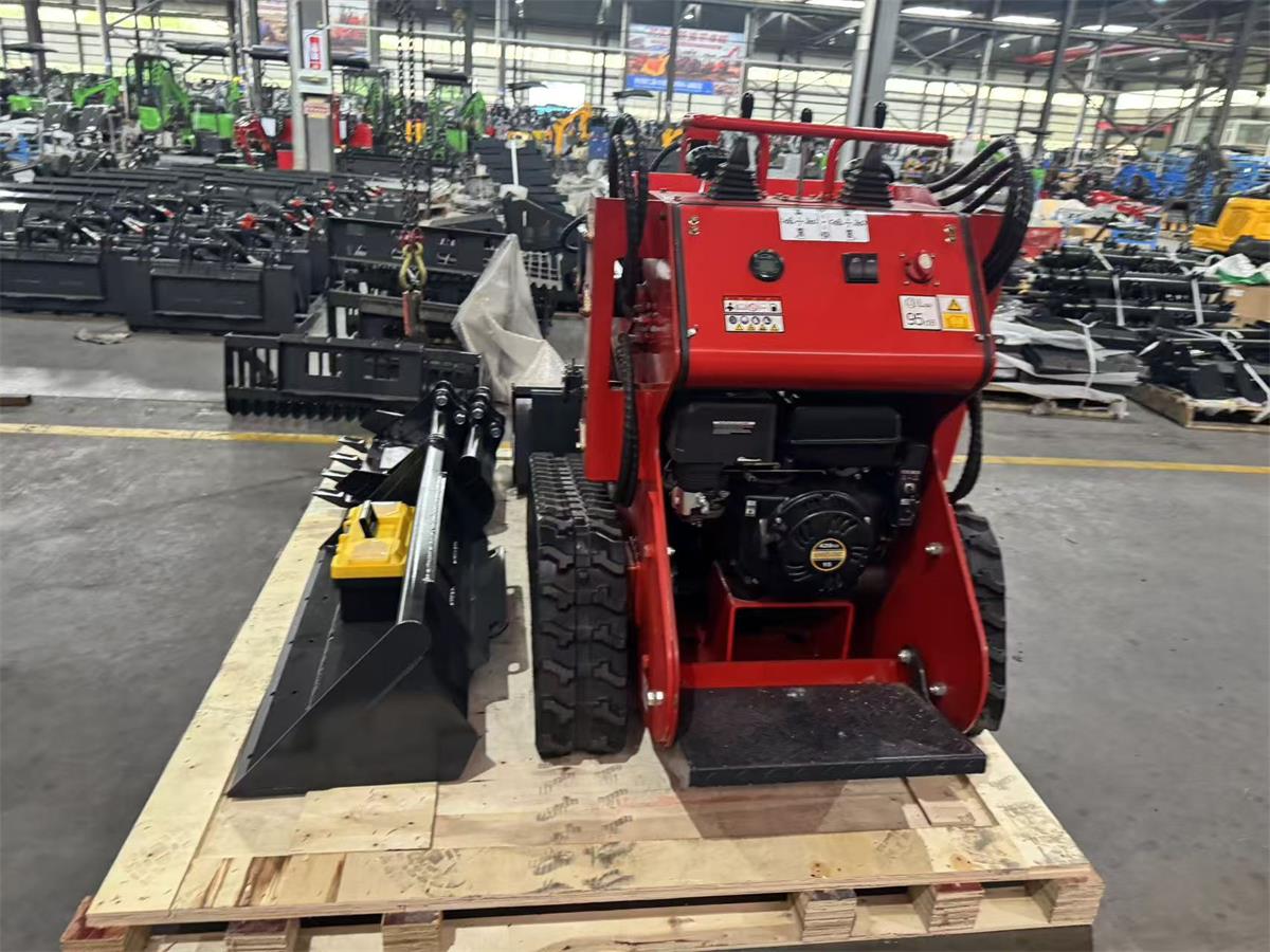 skid steer loader-2.jpg