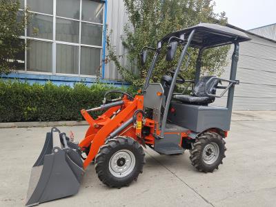 German customer orders an orange loader