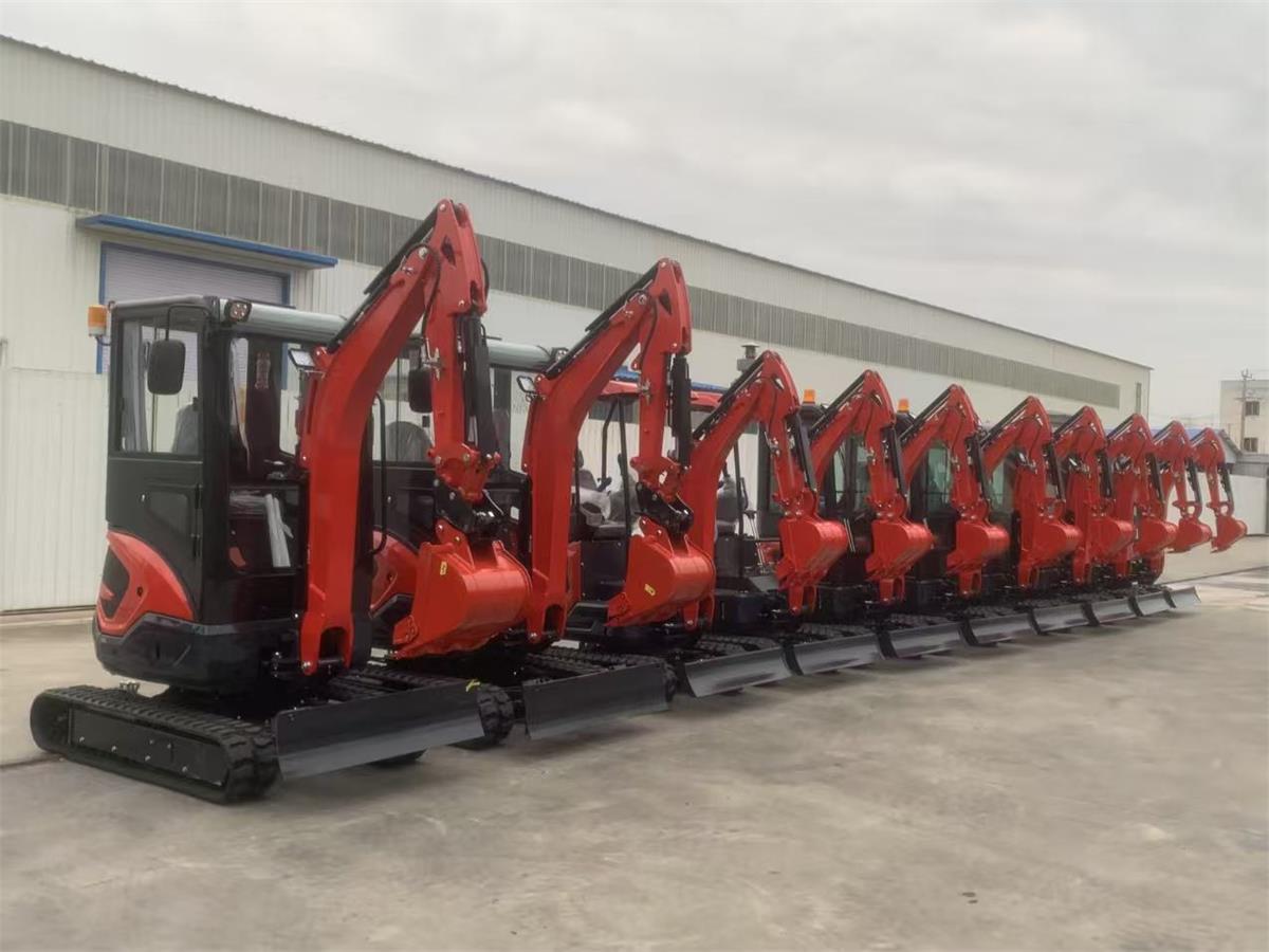 Noong Nobyembre 28, isang customer mula sa US ang nag-order ng sampung excavator.
