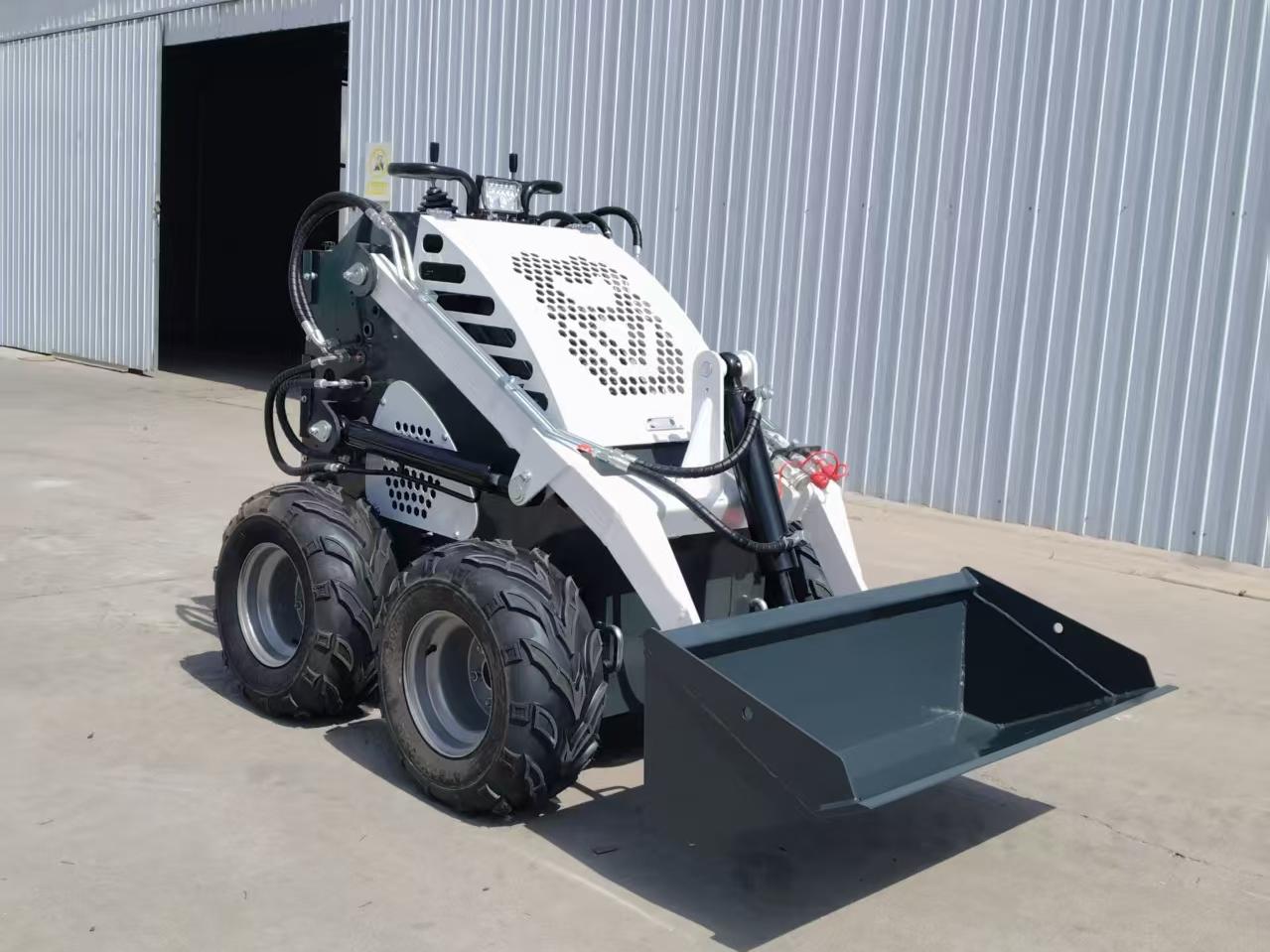 skid steer loader-3.jpg