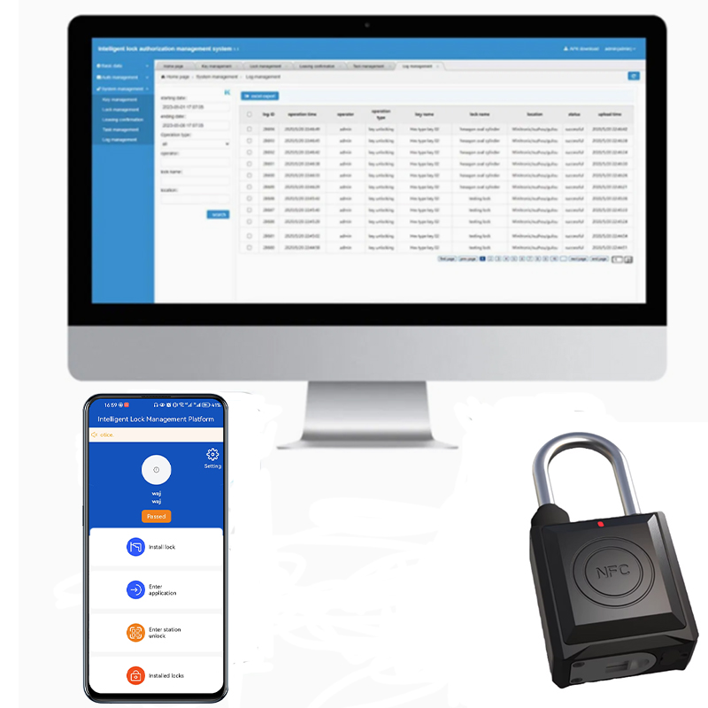 Quali sono i problemi comuni d’uso delle serrature IoT passive?