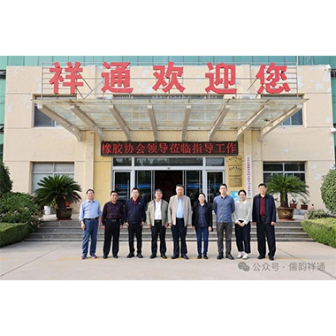 Shandong Rubber Industry Association Zhang Hongmin President Visited XTO