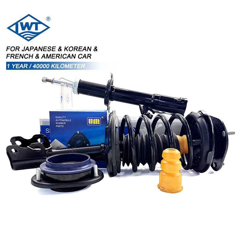 LWT Long Wind shock absorber parts For Renault