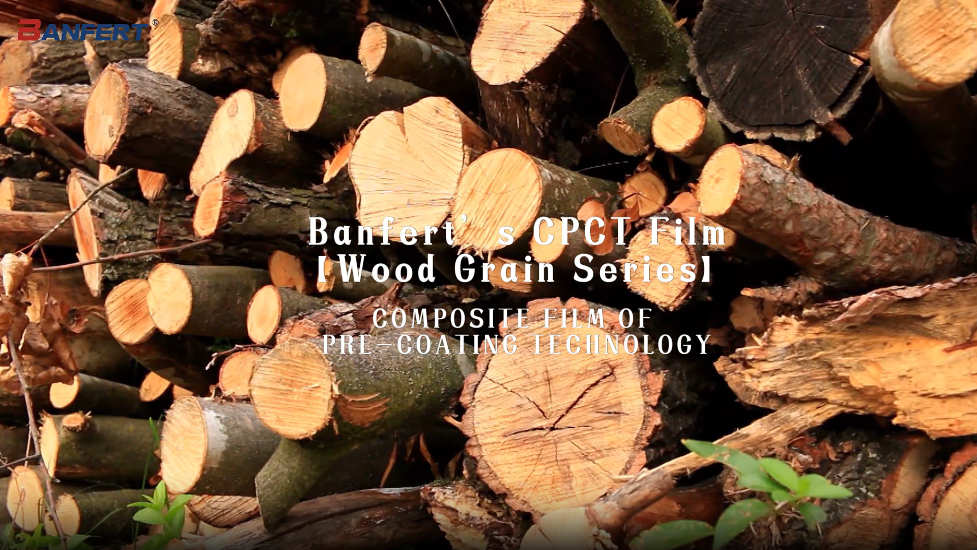 Filem CPCT BanfertSeri Biji Kayu8