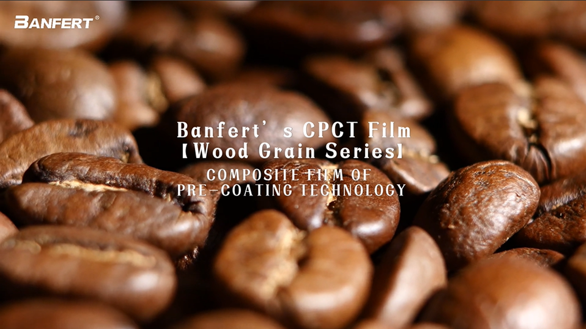 Filem CPCT BanfertSeri Biji Kayu6
