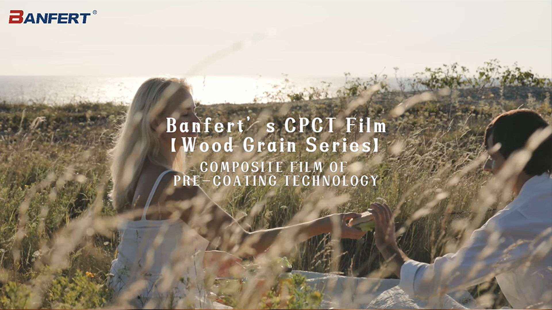 バンフェルトのCPCTフィルム 木の穀物シリーズ5
