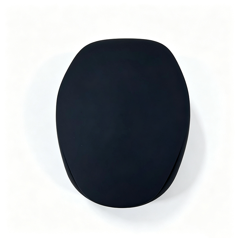 Top view closed matte black oval luxury watch gift box on white background.png