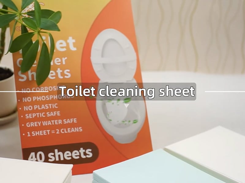 Toilet seat