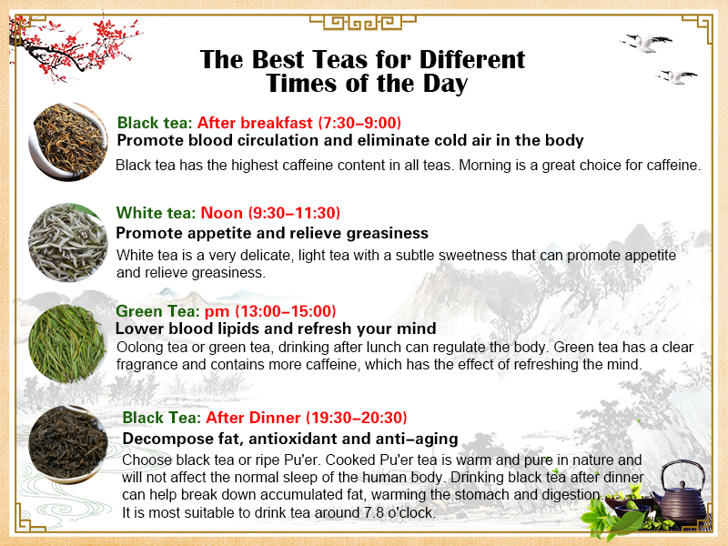 How to Start a Tea Business: Sourcing and Selection
