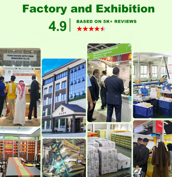 How to assess the production capabilities of a tea company?
