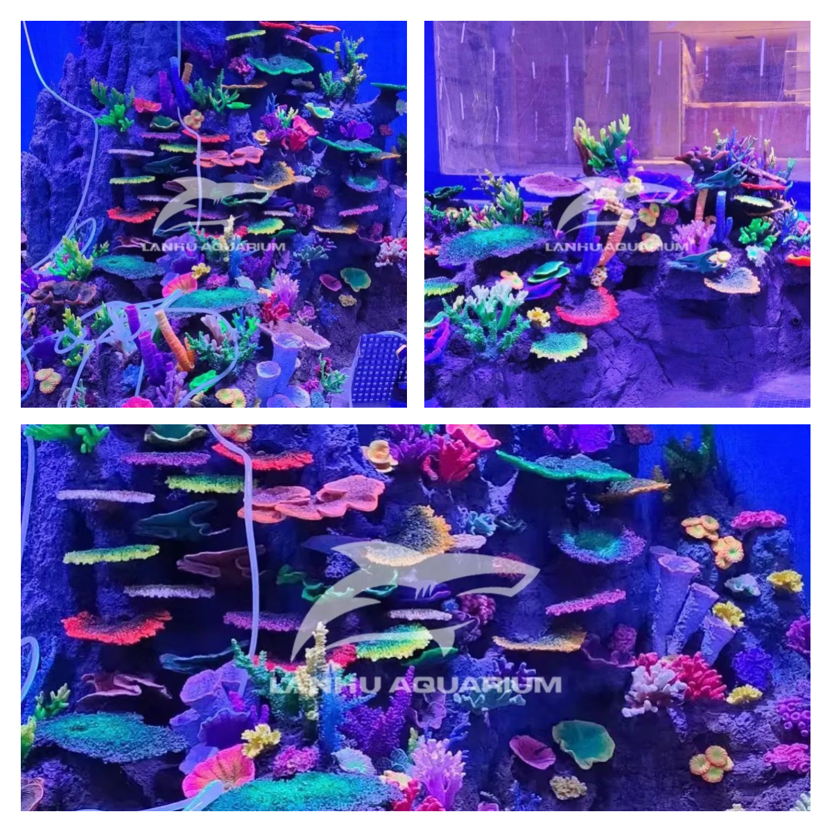 shanghai lanhu aquarium engineering project living up to expectations and exceeding expectations the acrylic aquarium at cuihu xiangshan international garden in zhuhai has been completed-2