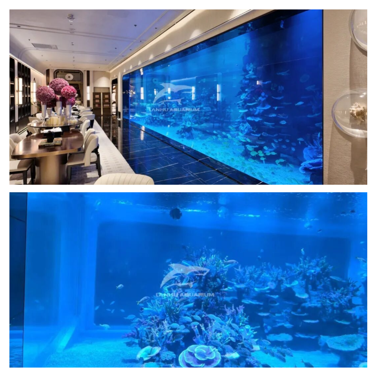 迅捷图片转换器-20251113-1763017725690.png