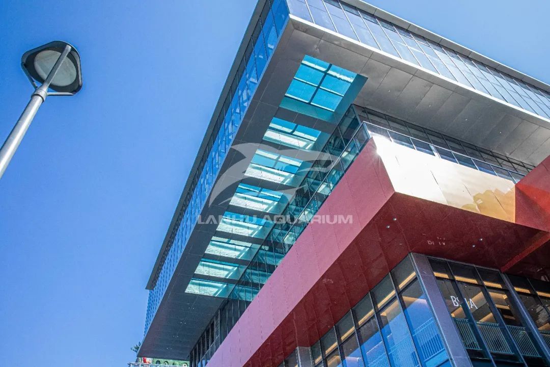 [Shanghai Lanhu Aquarium Engineering Project Case]: Birth Center, Galaxy Universe - Vanke Wenzhou Impression City Sky Pool Completed