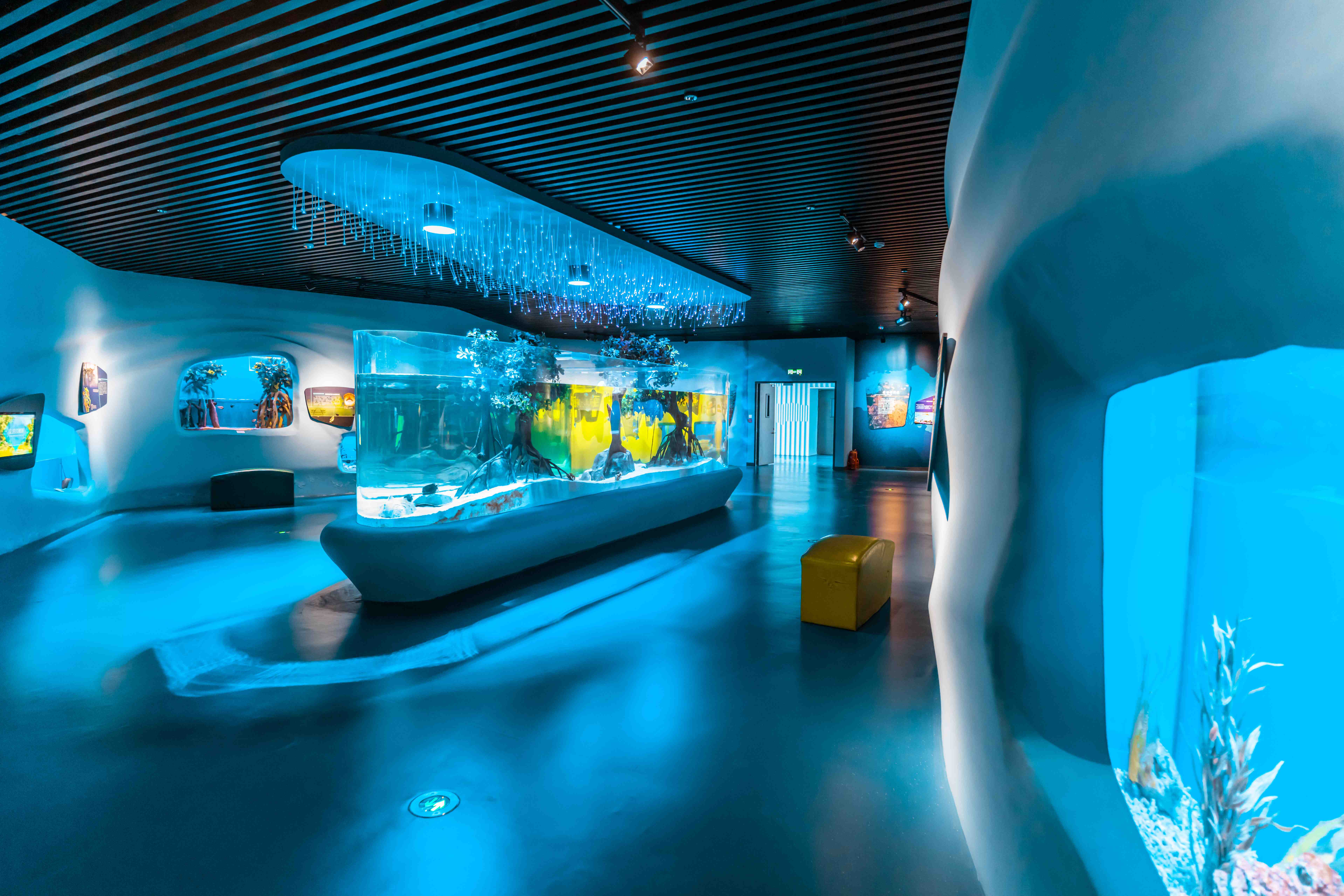 Acrylic Tank