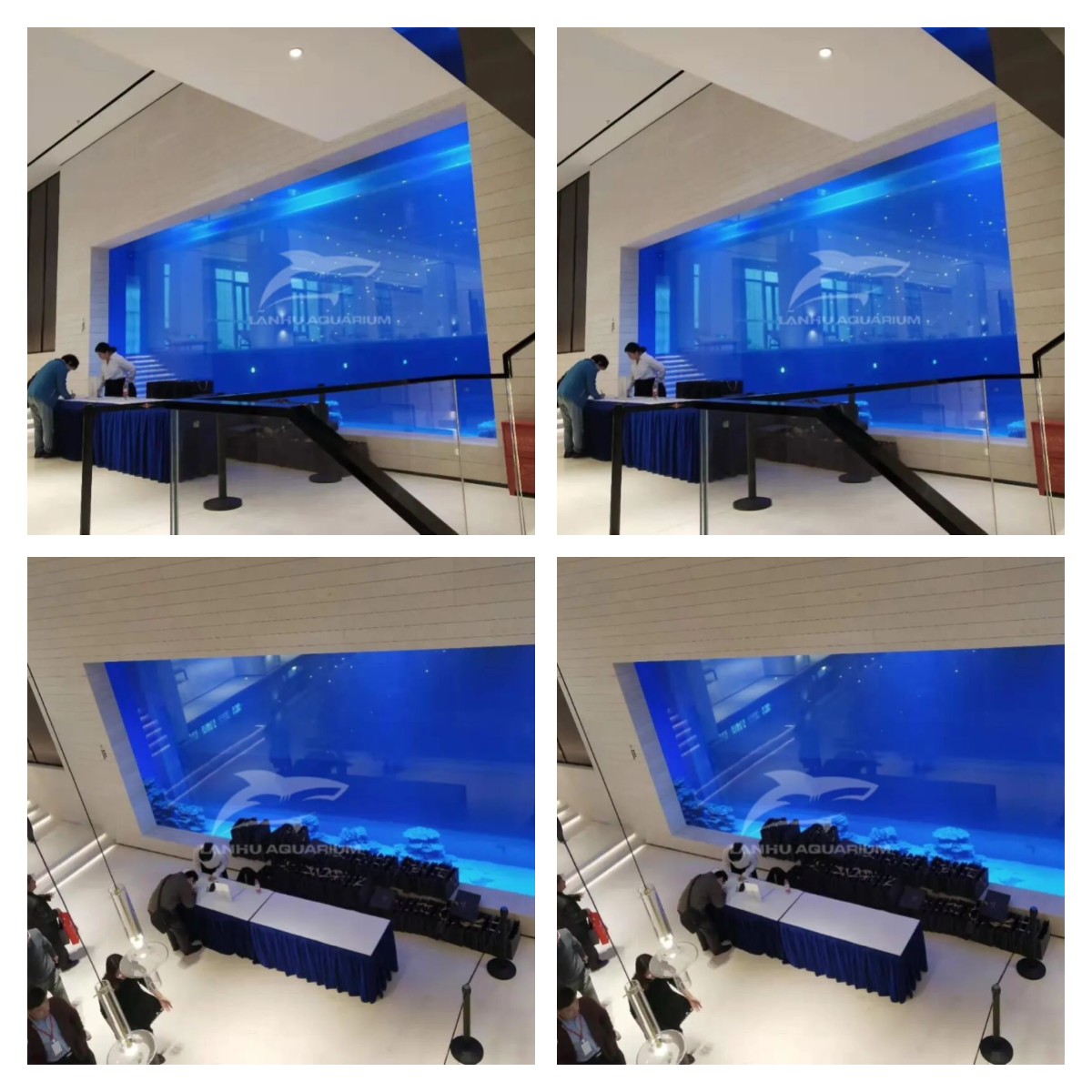 迅捷图片转换器-2025114-1762250953348.png