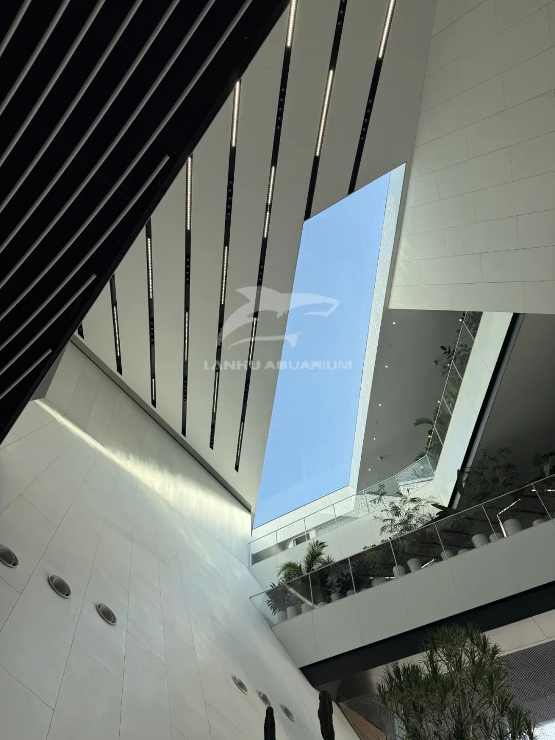 [Shanghai Lanhu Aquarium Engineering Project] Peacebird Headquarters Rooftop Fish Pond: Ingenious Craftsmanship Creates a Serene Ocean Awaits in the Sky