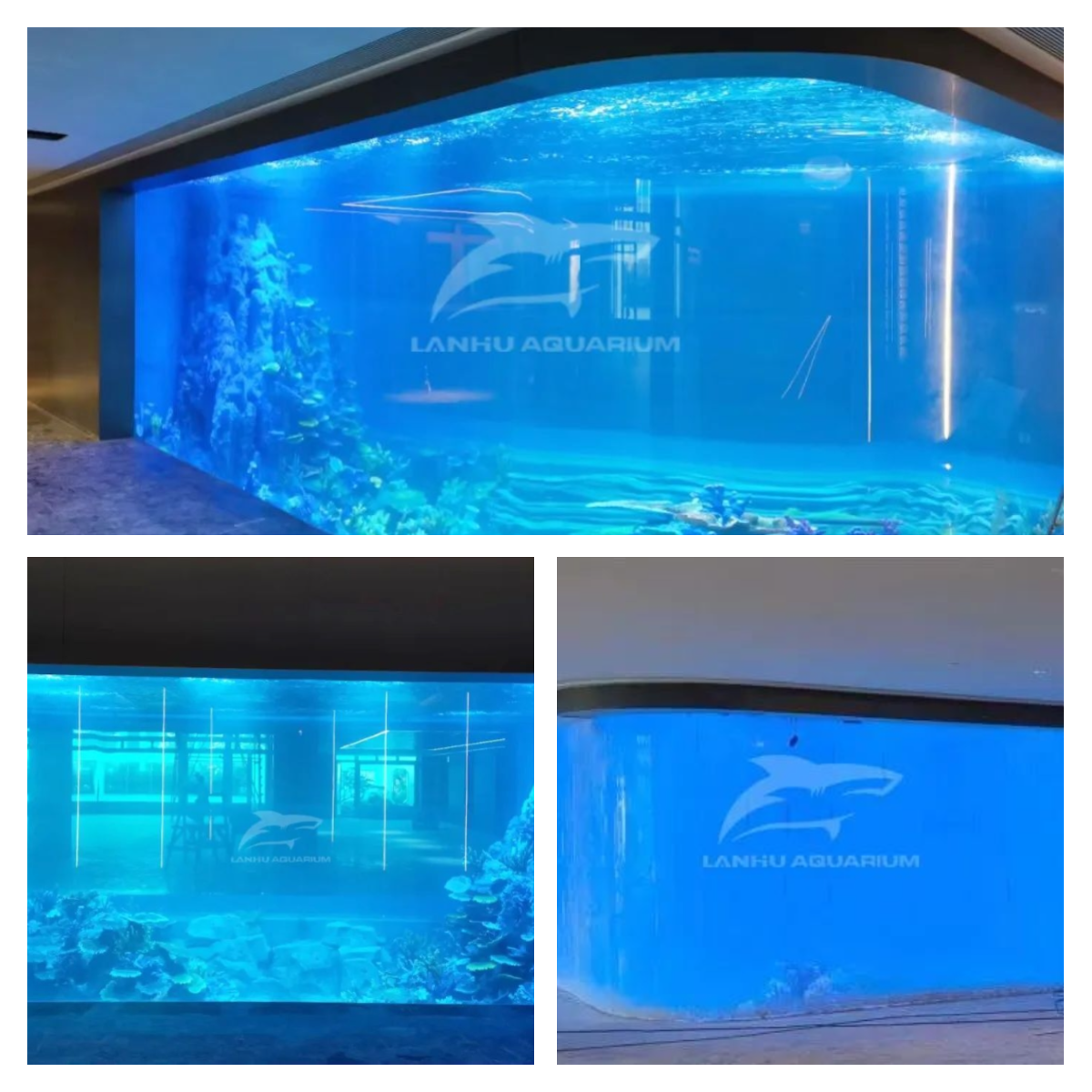 shanghai lanhu aquarium engineering project living up to expectations and exceeding expectations the acrylic aquarium at cuihu xiangshan international garden in zhuhai has been completed-1