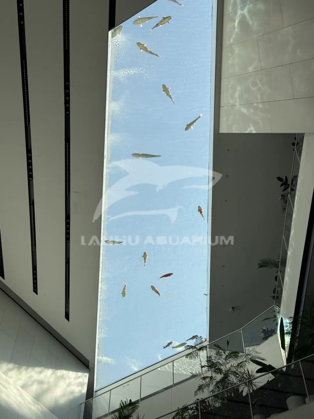 640 (4)(277123c117).jpg