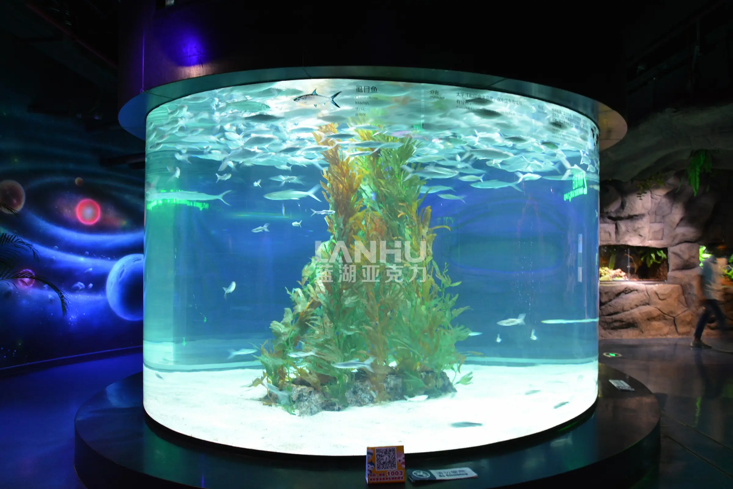 How to extend the lifespan of an acrylic fish tank?