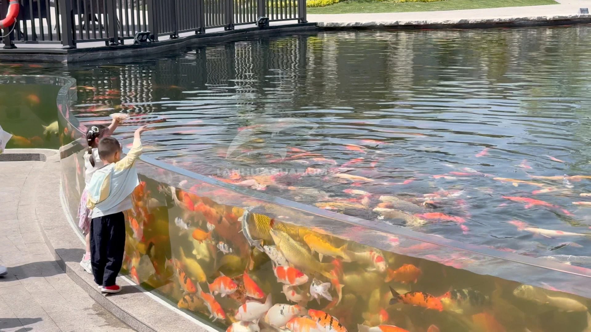 [Lanhu Aquarium Engineering Project] Crafting a Classic with the Heart of a Craftsman, the Nanjing Ginkgo Lake Paradise Acrylic Fish Pond Project Completed.