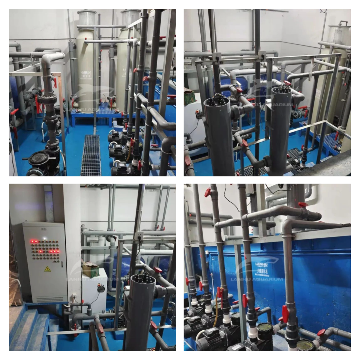 shanghai lanhu aquarium engineering project living up to expectations and exceeding expectations the acrylic aquarium at cuihu xiangshan international garden in zhuhai has been completed-3
