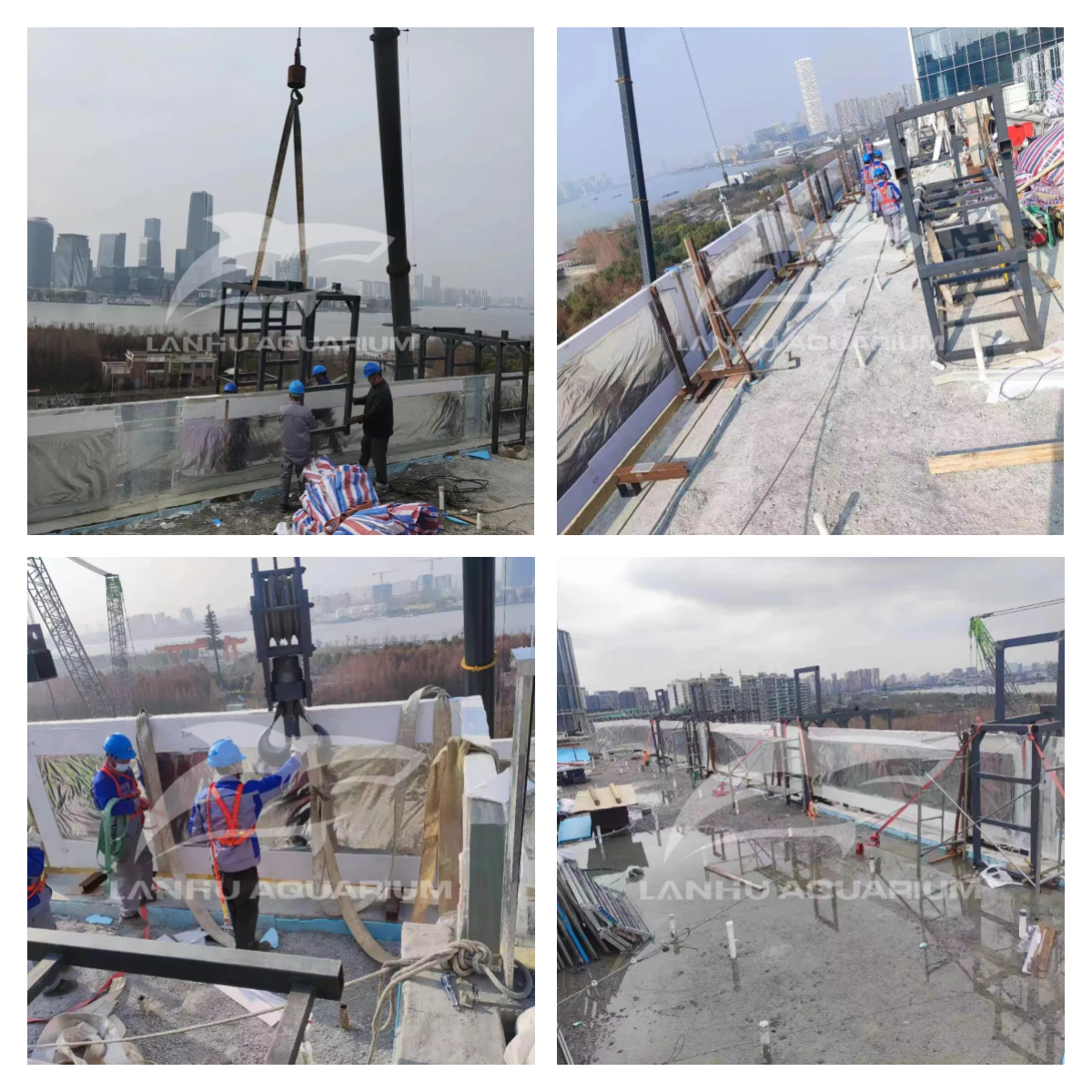 迅捷图片转换器-202571-1751349329738.png