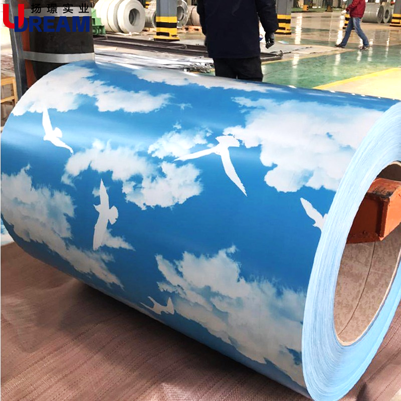 How to Find the Best Deals on Coated PPGI Coils for Your Business?