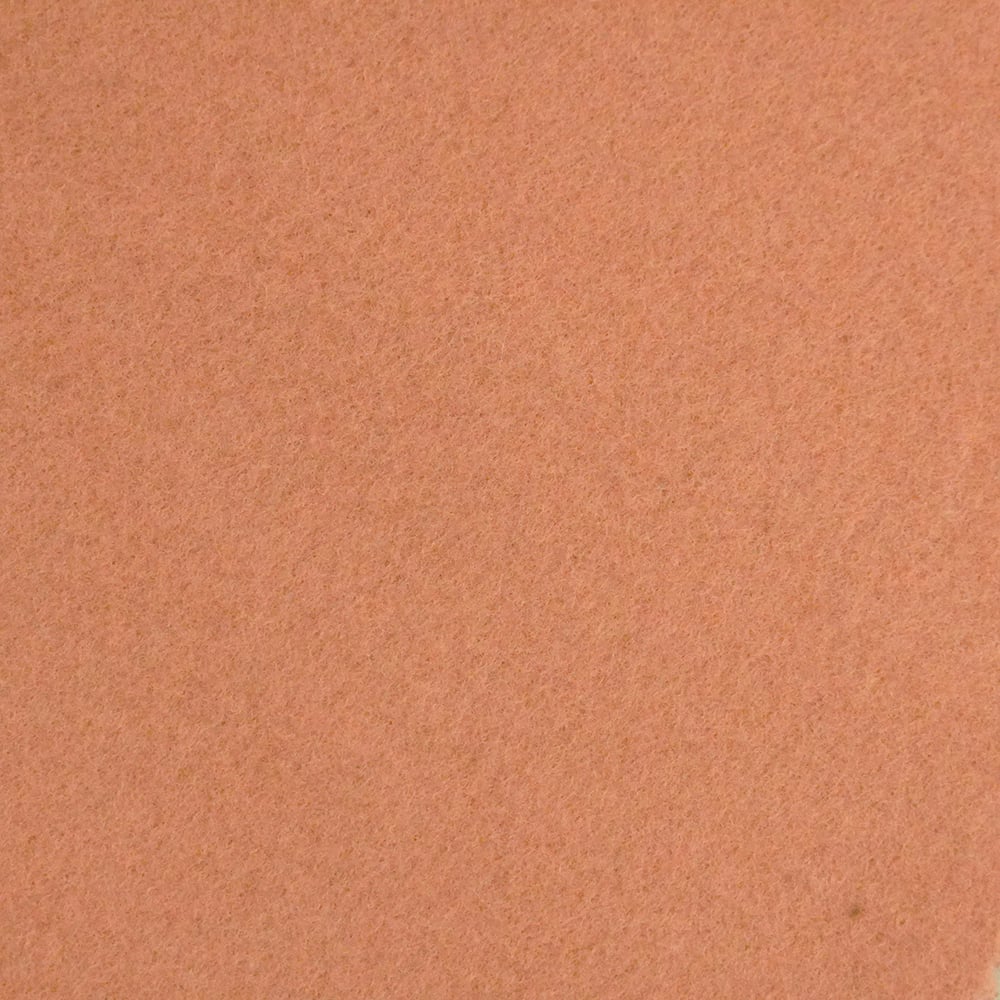 polar fleece fabric.JPG