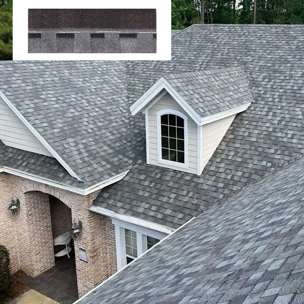 Where Can You Source Affordable Asphalt Shingles for Bulk Purchases?