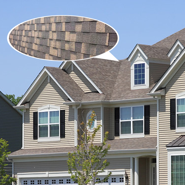 What Are Common Issues with House Siding and How to Prevent Them?