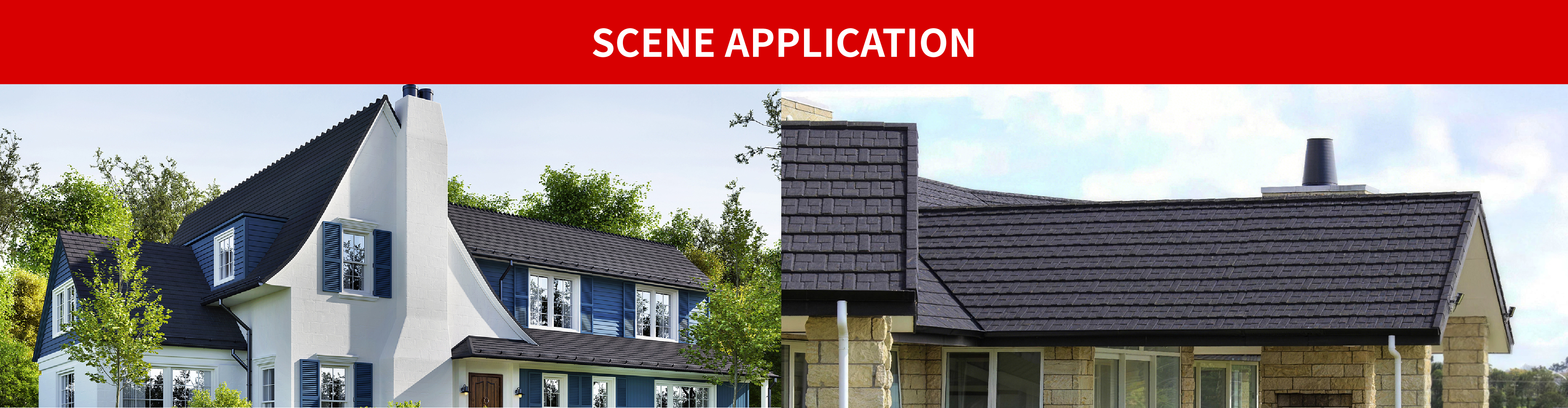 SCENE APPLICATION.jpg