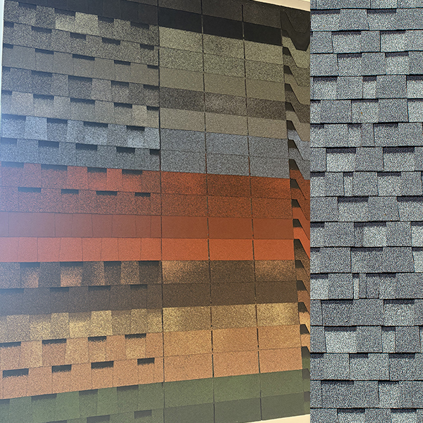 Where to Source Affordable Asphalt Shingle Roofing Options