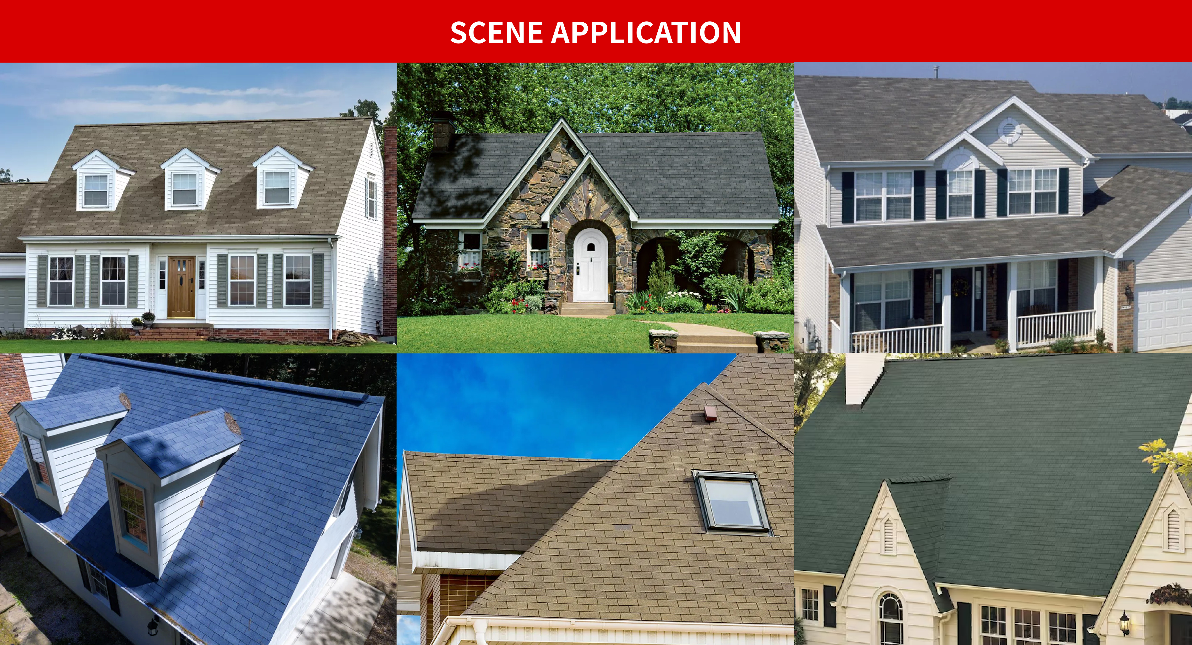 SCENE APPLICATION.jpg