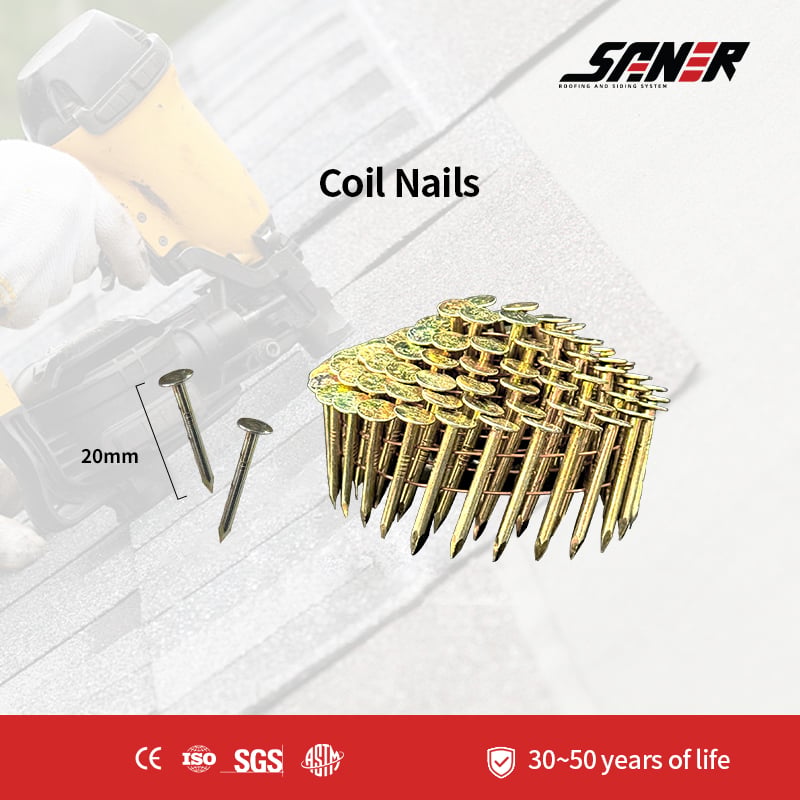 Coil Nails - Galvanized Roofing Fasteners for Efficient Shingle Installation and Roof Repair
