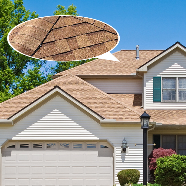 What Makes Vinyl Siding a Top Choice for Homeowners?