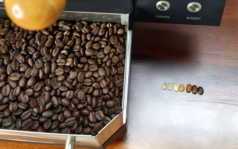Roast Your Vision Introducing the All-New Coffee Roaster Series