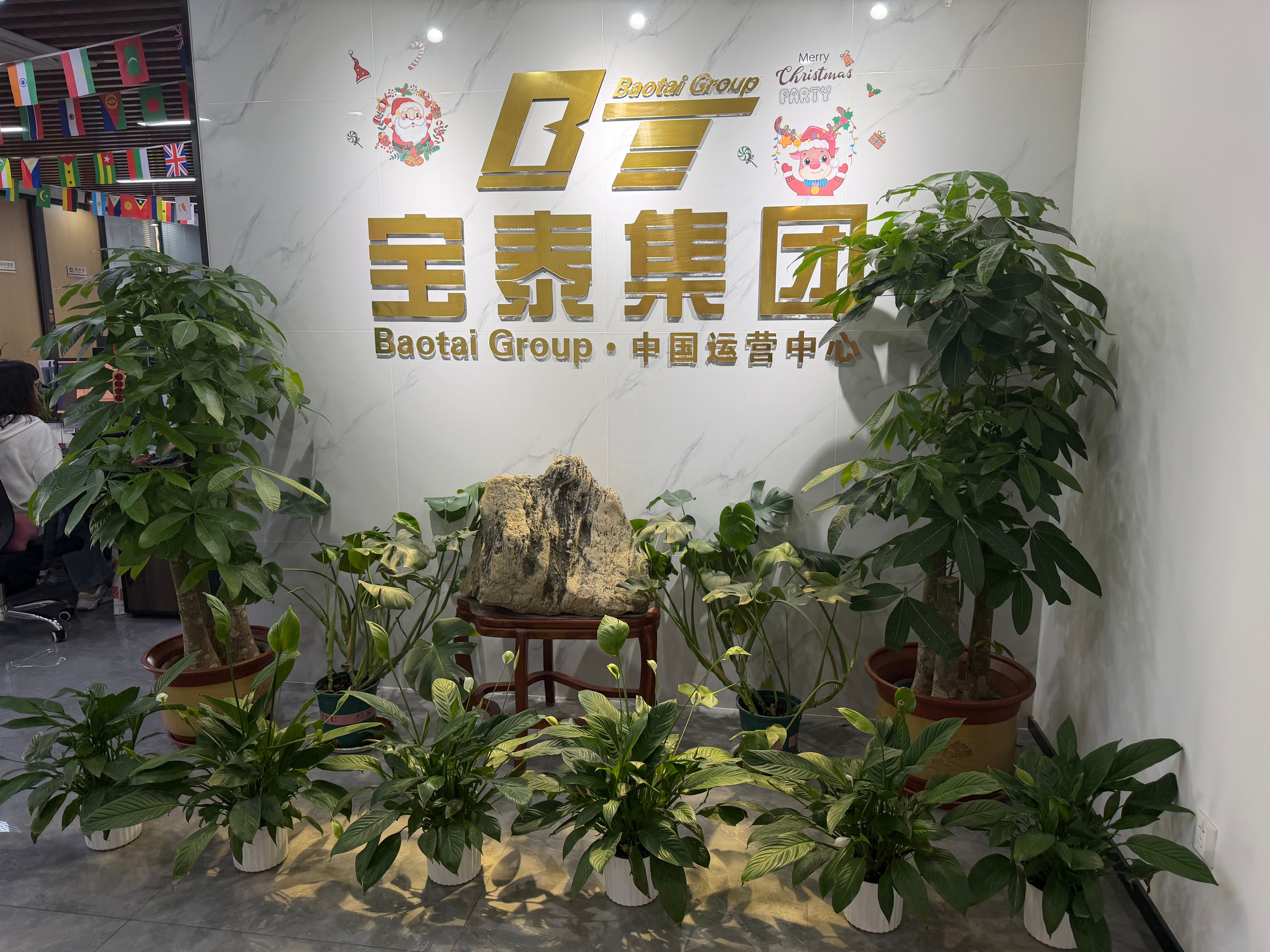 Company Profile