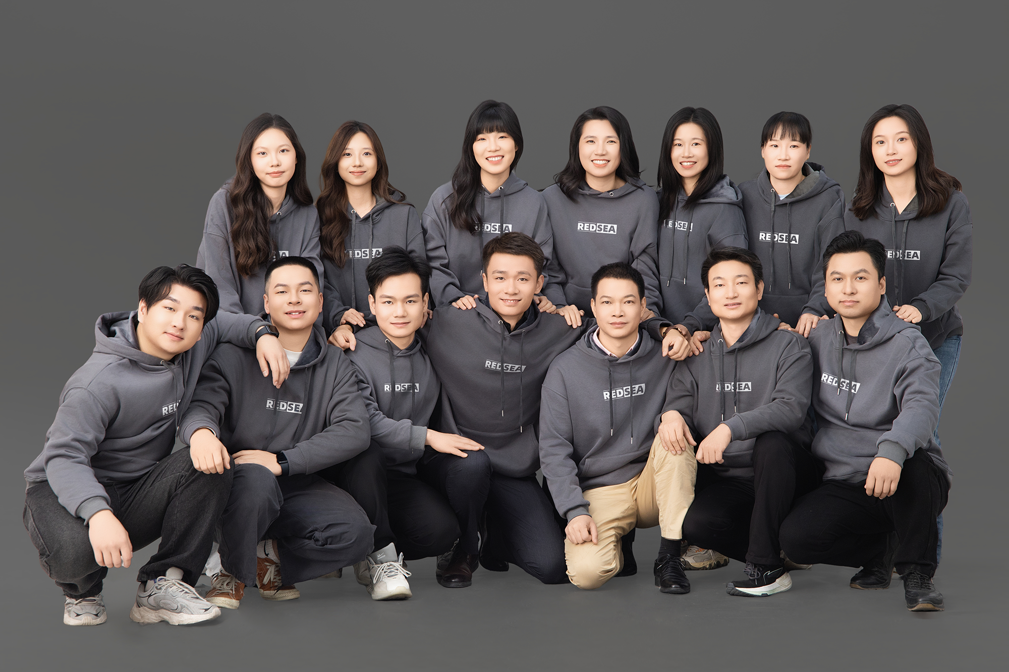 Professional Team Services