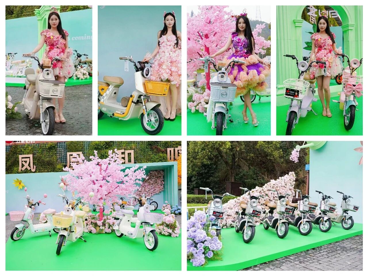 5. Zuboo Electric bike.jpg