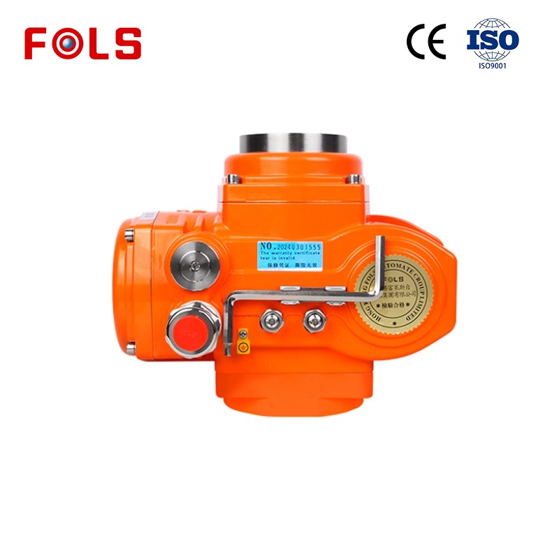 Customizable Valve Actuator Features