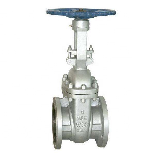 Versatile Gate Valve for Different Fluids
