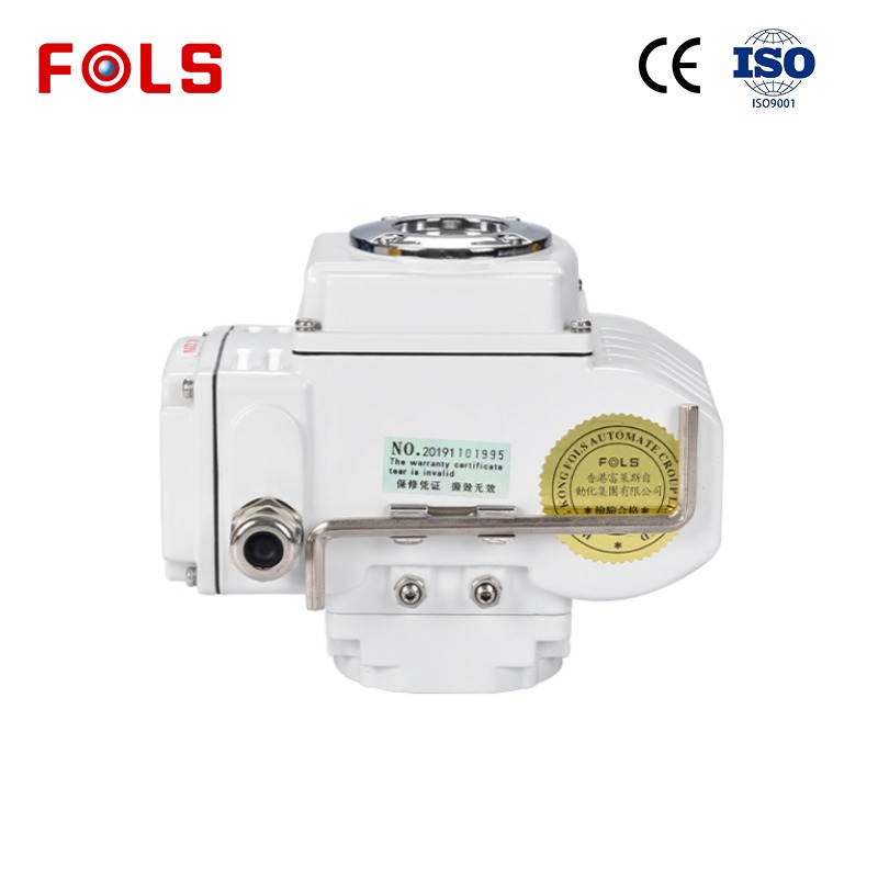Customizable Valve Actuator Features