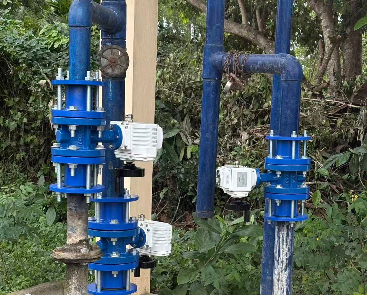 What customization options fit project bulk electric valve purchases?
