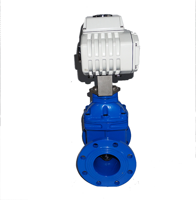 Customizable Electric Gate Valve for Specific Projects