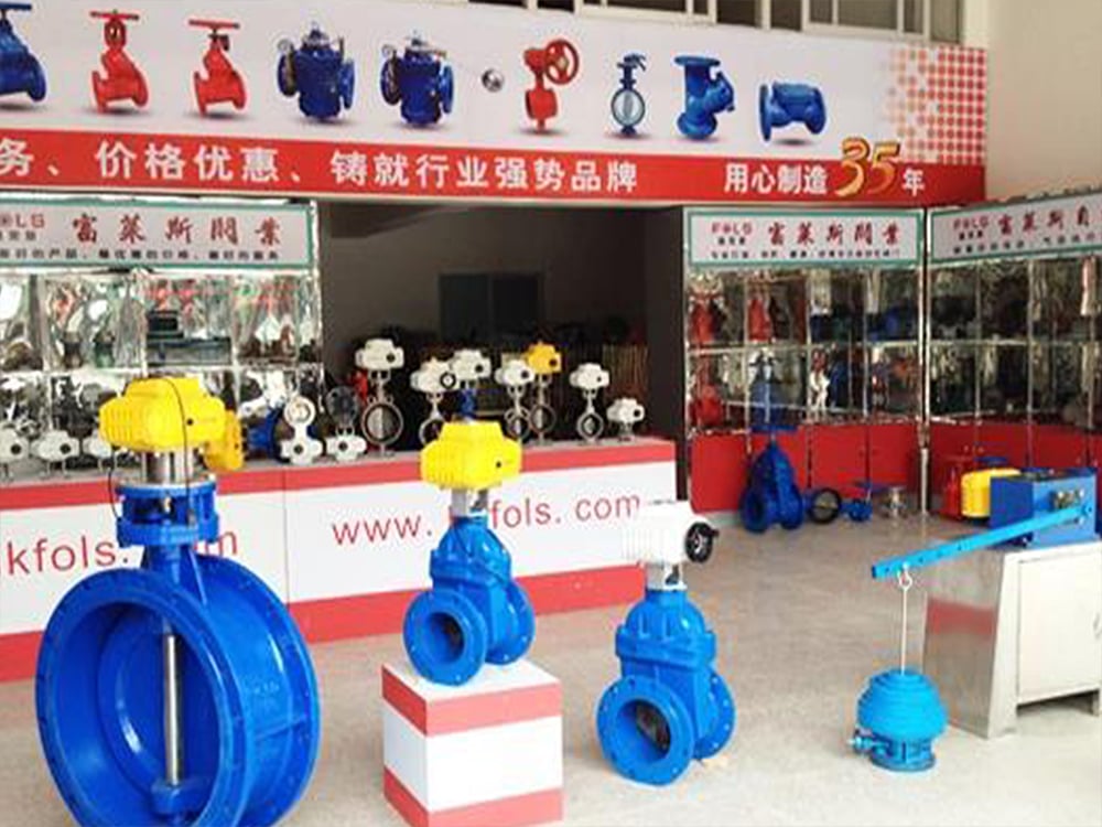 FOLS Valve Strategic Upgrade · 2013 Embarks on a New Journey in the National Market